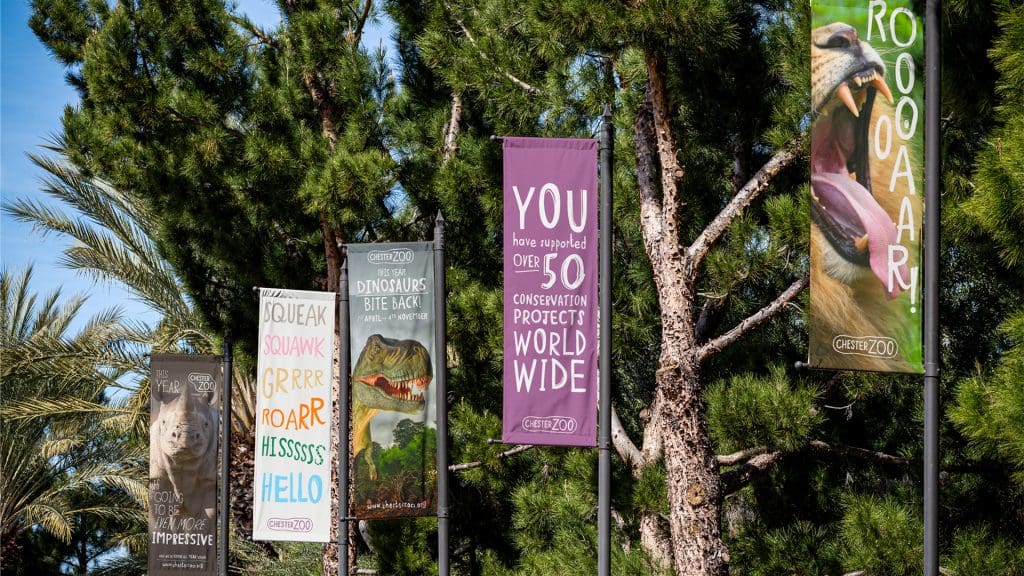 Large scale lamppost banners with animal photographs and type applications promoting Chester Zoo.