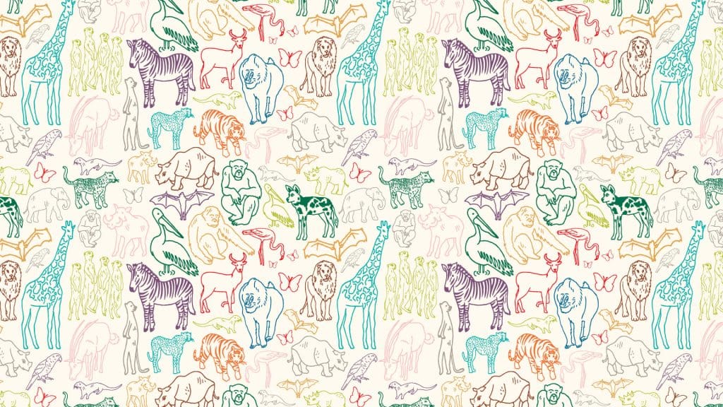 Montage of animal character illustrations in bright colours to demonstrate the flexibility of the new Chester Zoo brand.